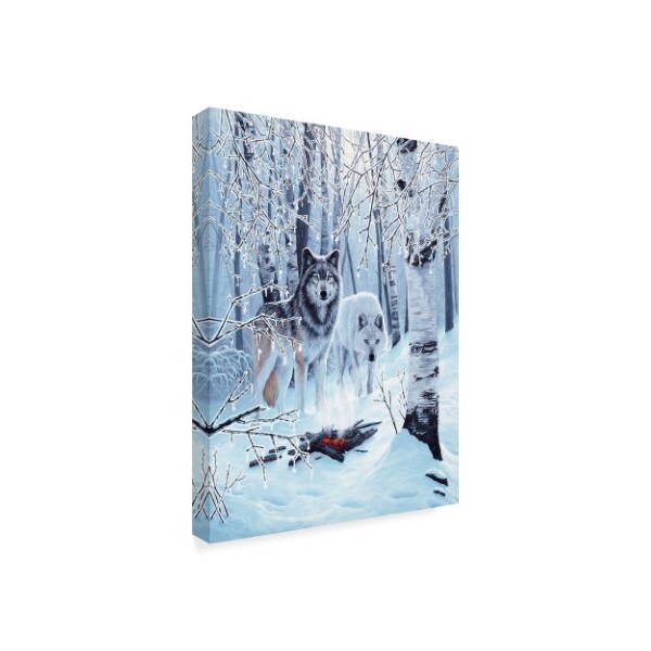 Ron Parker 'Fire And Ice' Canvas Art,14x19